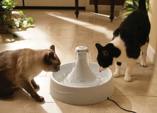 neko4 にゃんだこのインテリア！？あざとい！だがそれがいい！ペットグッズ7選