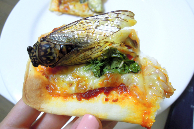 DSCN0456 【閲覧注意】夏のレジャーですっからかん！　そんな時にはこの料理「空飛ぶエビ（？）のピザ」