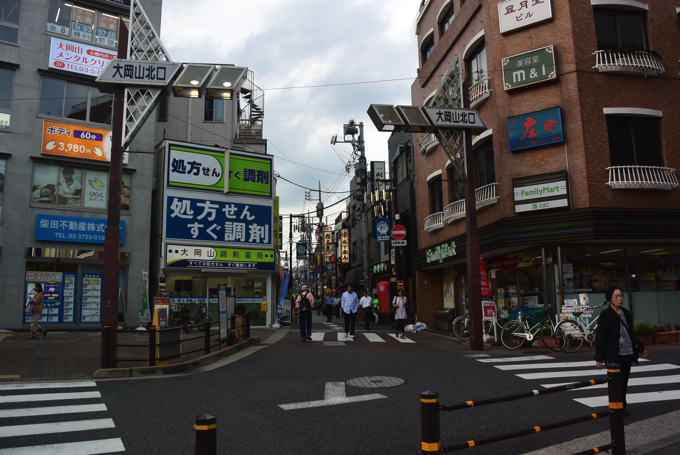 DSC 1187 「住みたい街ランキング」には入っていないけど、絶対住むべき街シリーズ 〜第10回：大岡山〜