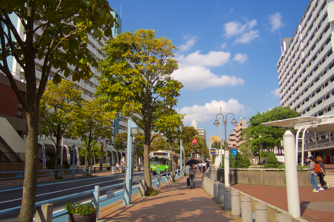 nishikasai 06 「住みたい街ランキング」には入っていないけど、絶対住むべき街シリーズ 〜第8回：西葛西〜