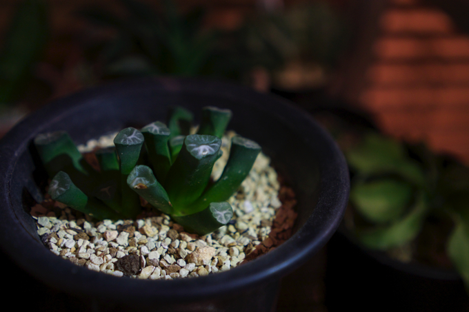 ベンチャー・スタートアップの一人暮らし訪問企画~第3回:面白法人カヤック~ ベンチャー・スタートアップの一人暮らし訪問企画~第3回:面白法人カヤック~