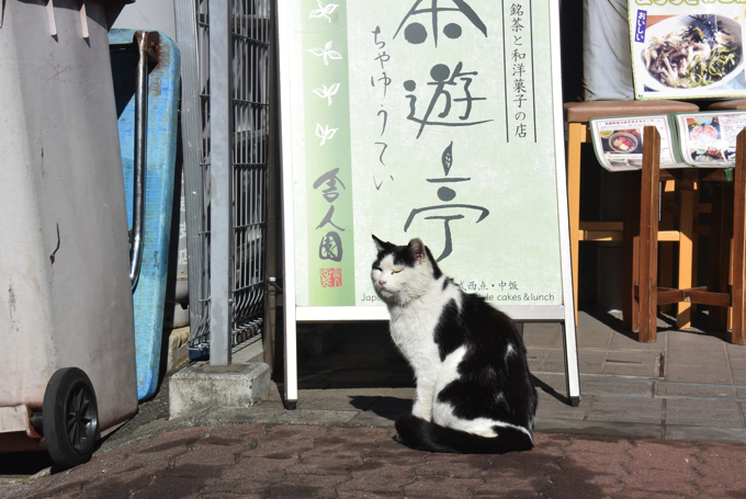 「住みたい街ランキング」には入っていないけど、絶対住むべき街シリーズ 〜第23回:谷中(日暮里)〜 「住みたい街ランキング」には入っていないけど、絶対住むべき街シリーズ 〜第23回:谷中(日暮里)〜