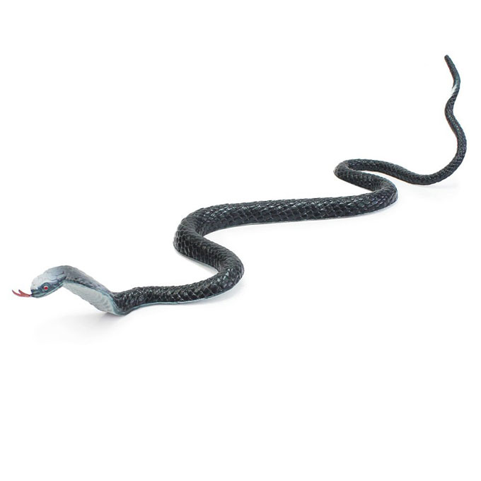  ベランダが糞や羽毛だらけになる前に…個人でできる鳩害対策＆グッズ7選